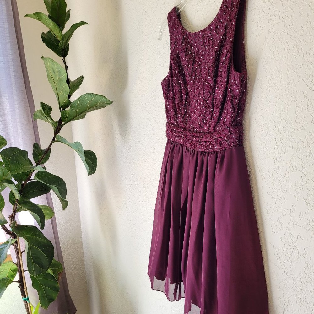 Plum Jewel Dress